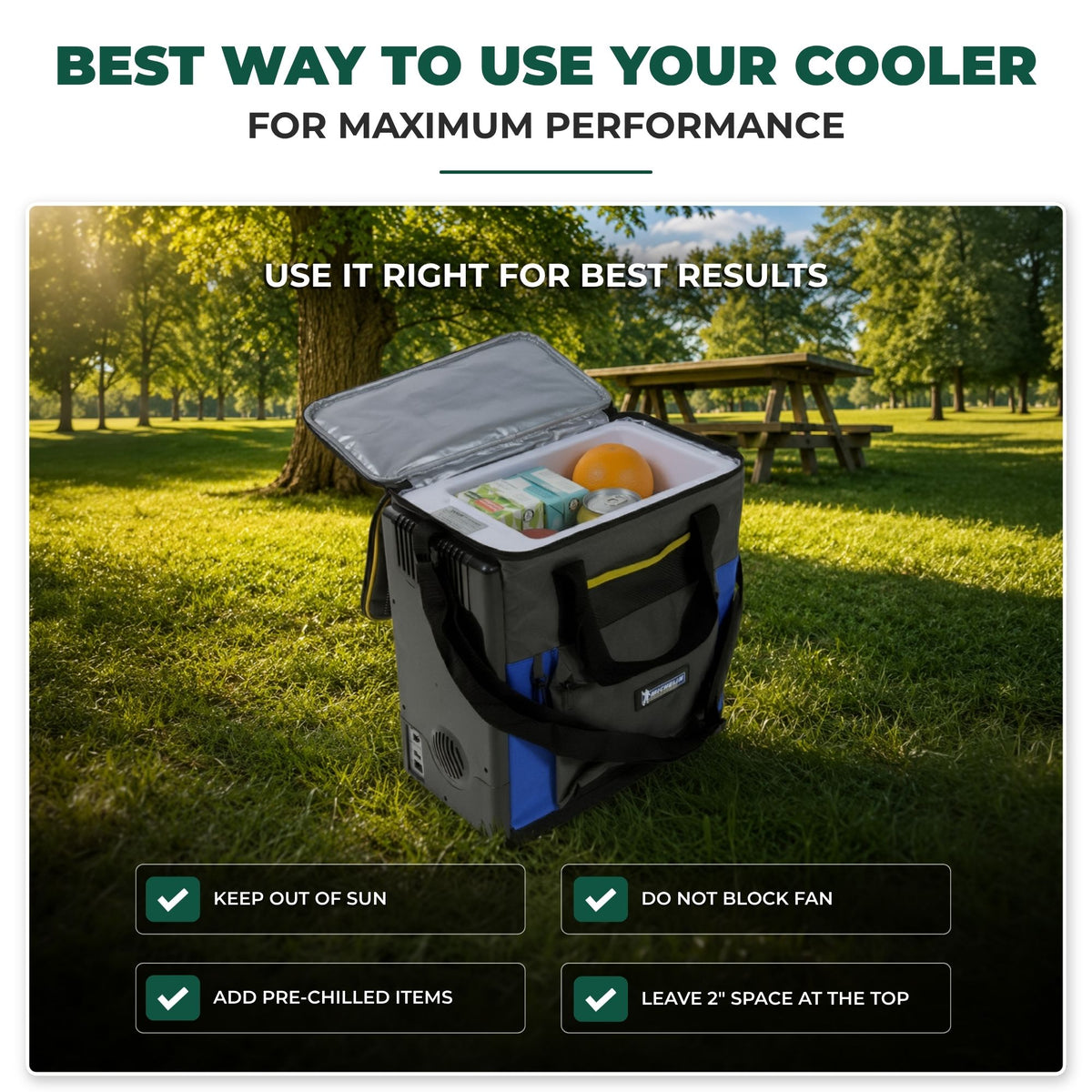 Michelin Thermoelectric Iceless 12V Cooler Warmer 14 L (15 qt)