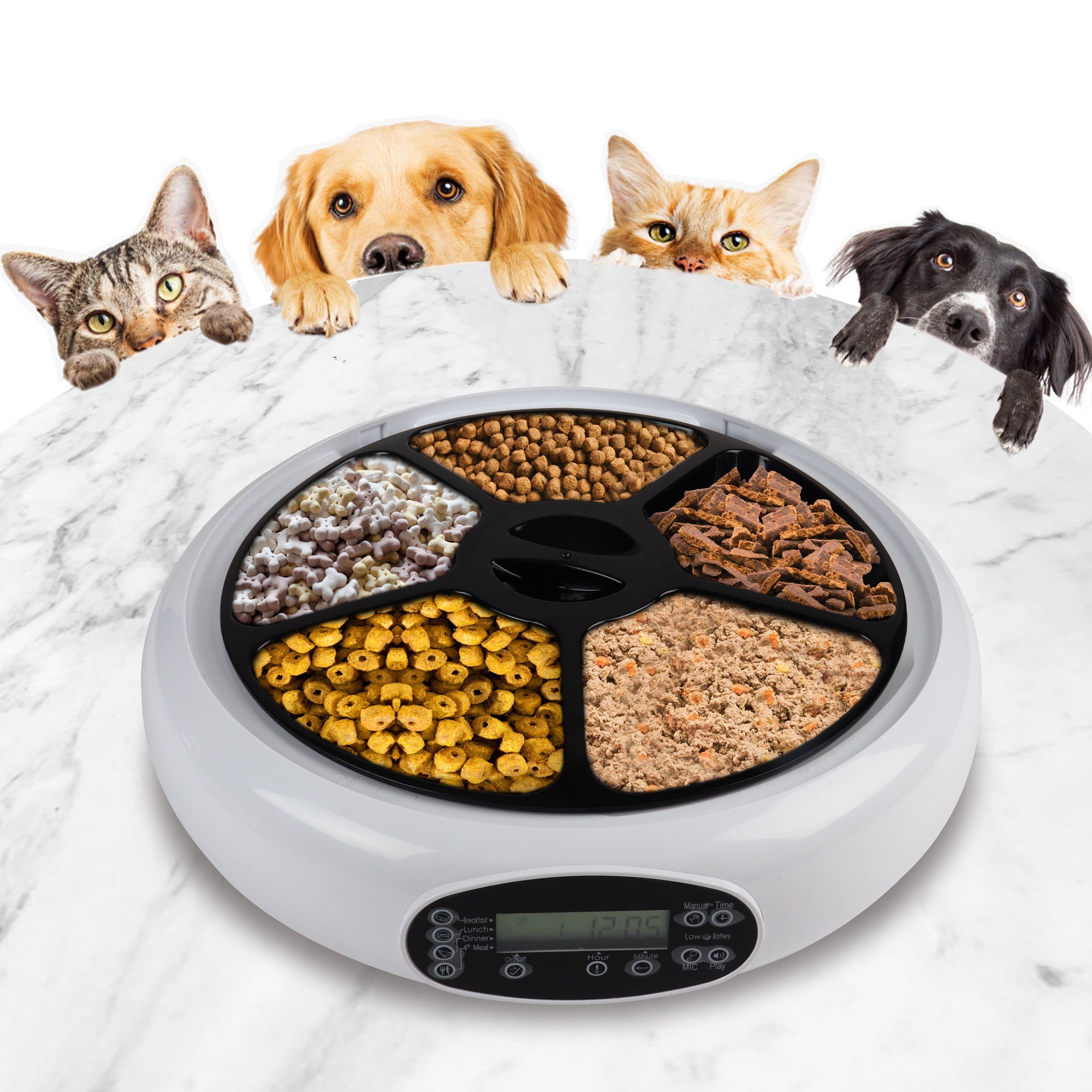 Fashion electronic cat feeder wet food