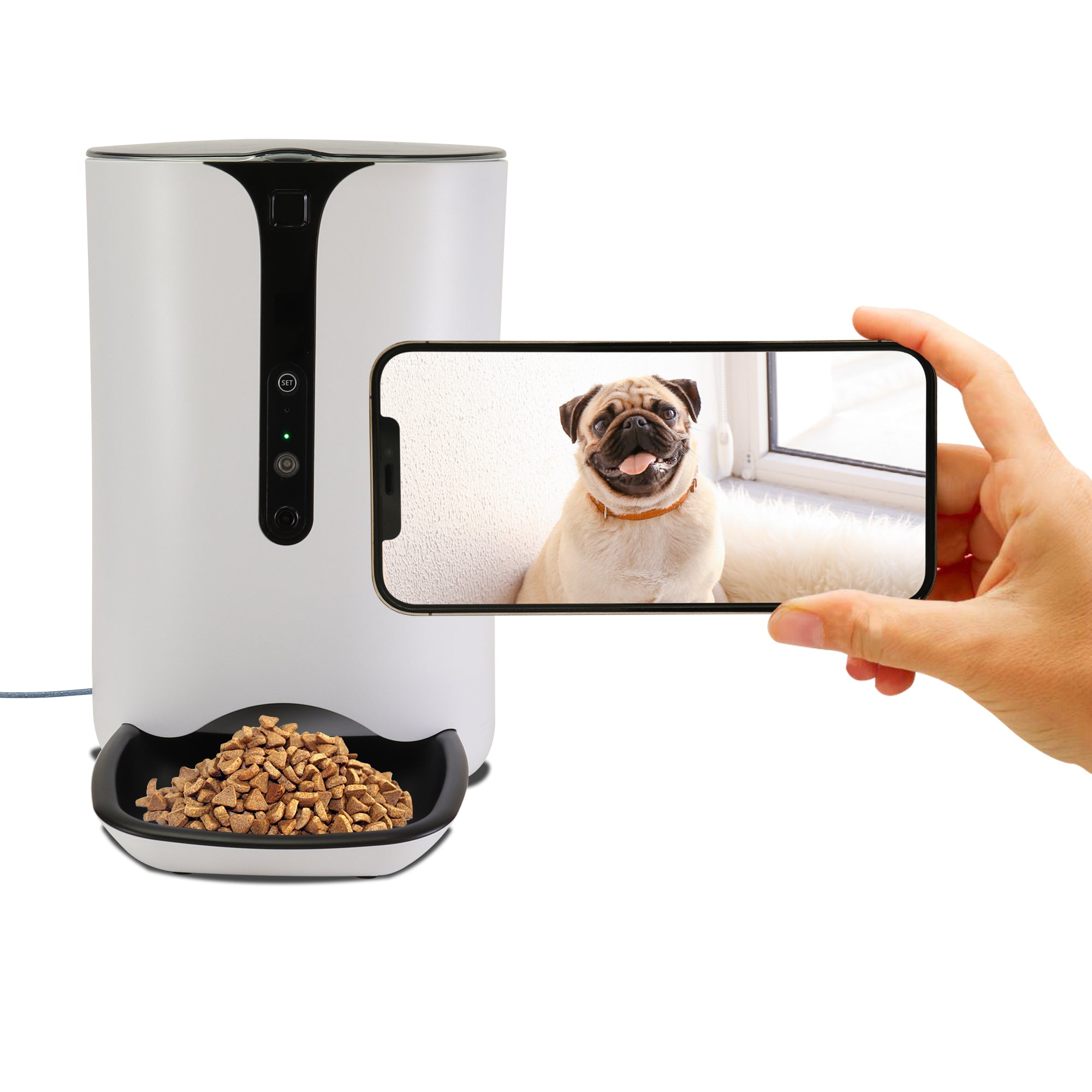 Dog orders feeder with camera