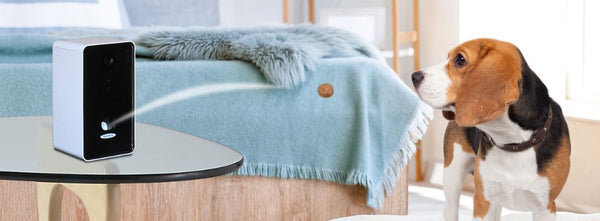 Pet Care Products Koolatron