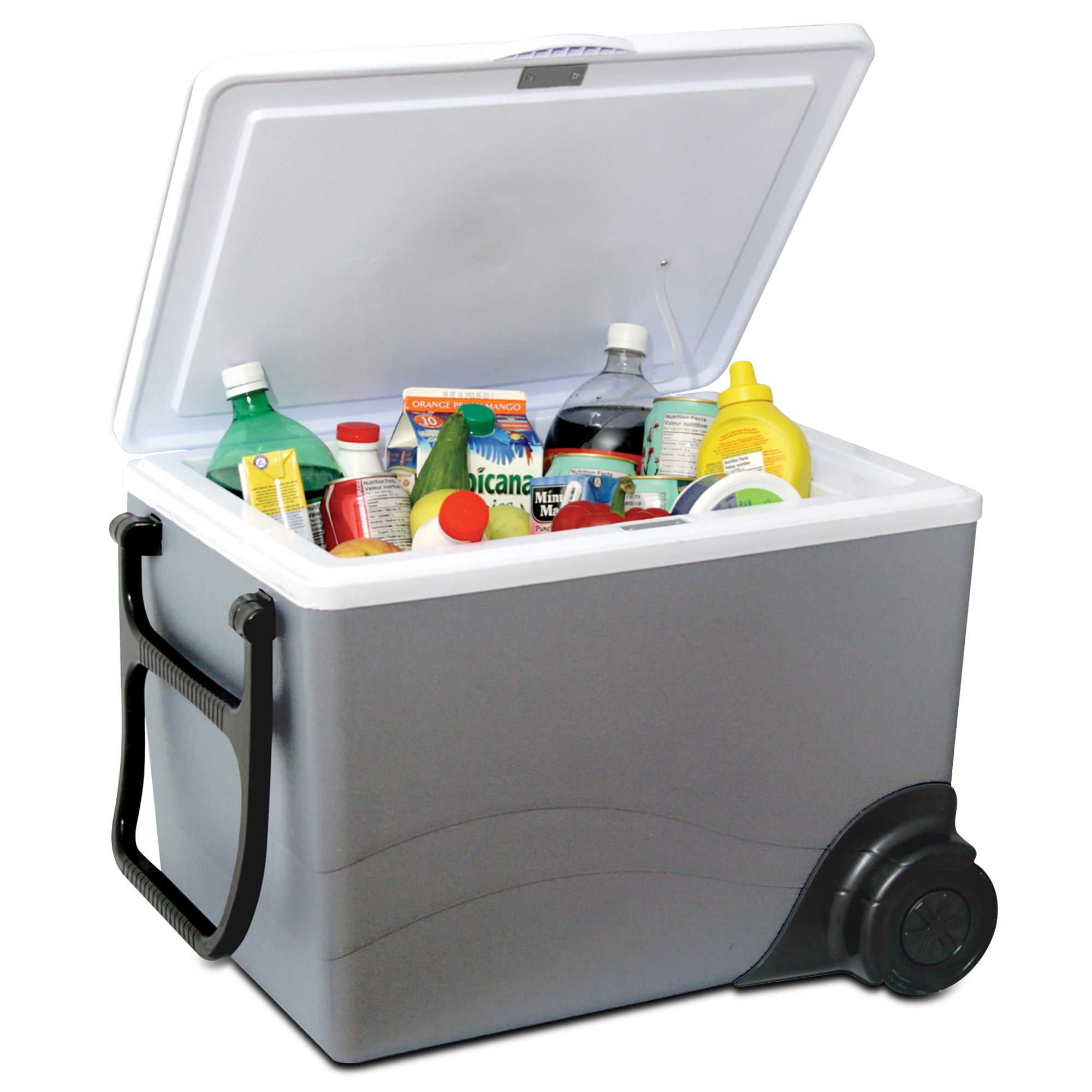 electric 12 volt cooler